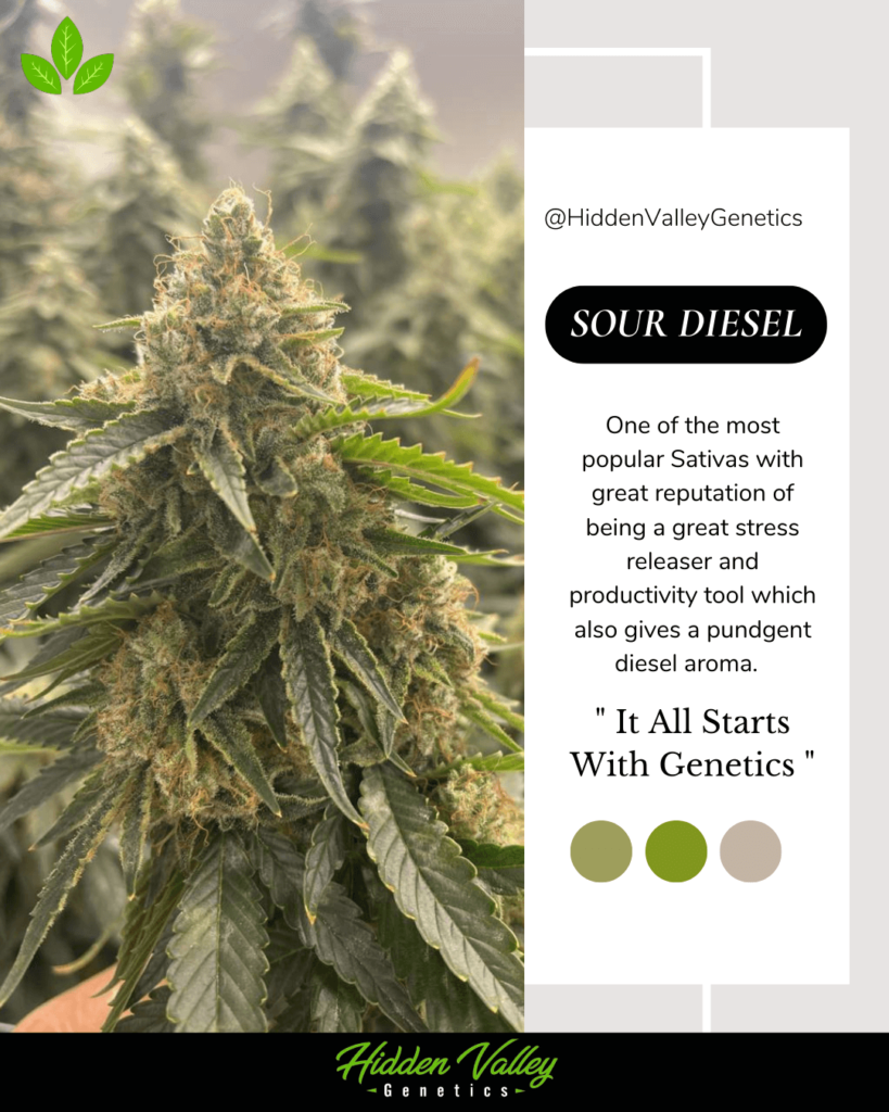 6. Sour Diesel