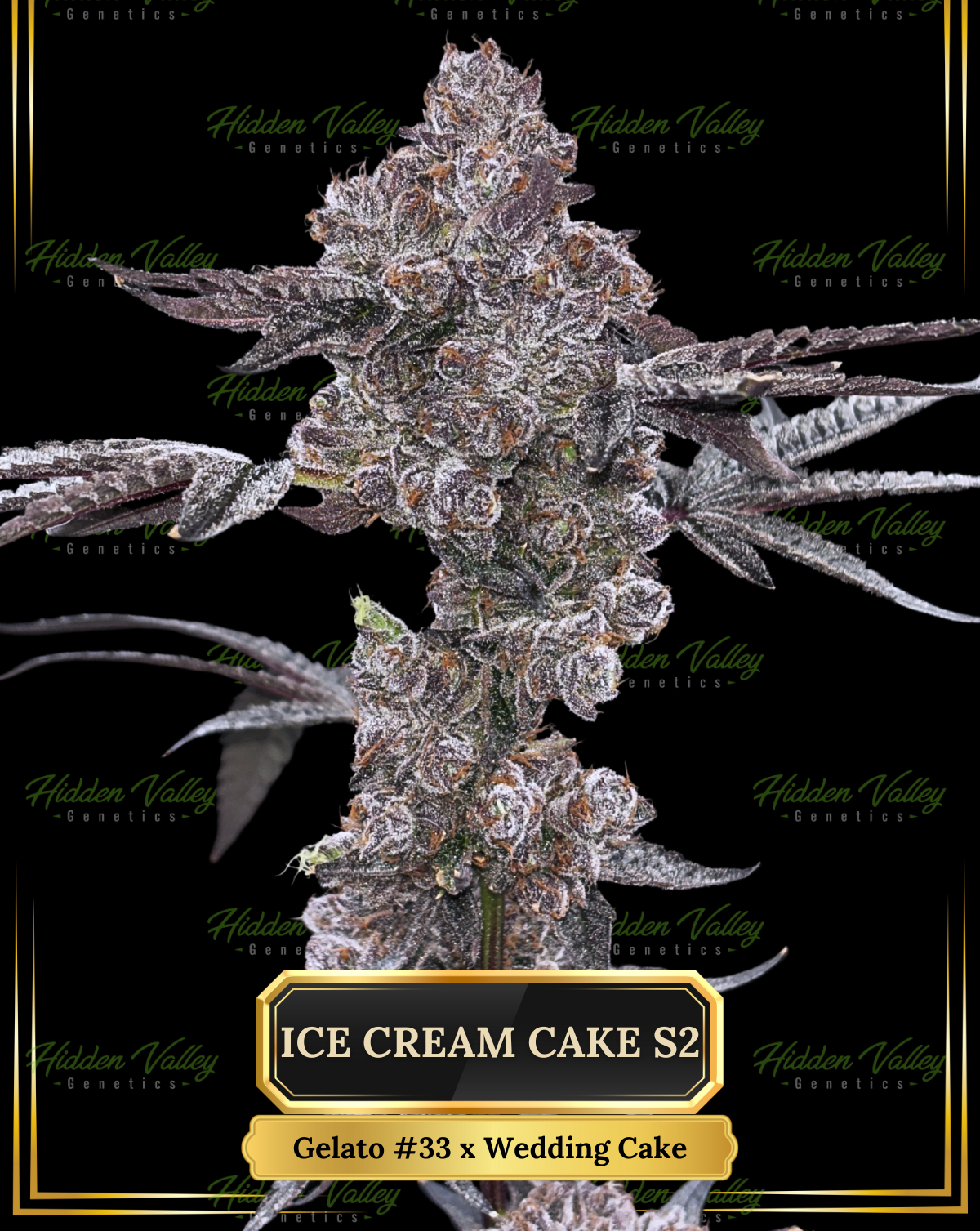 Cannabis Flower